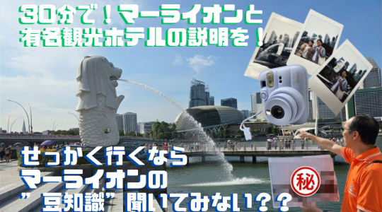 知らなきゃ損？！マーライオン観光を100倍楽しむ！❘マーライオンの歴史+フラトンホテルや周囲の歴史説明で充実の観光<チェキ写真付き>
